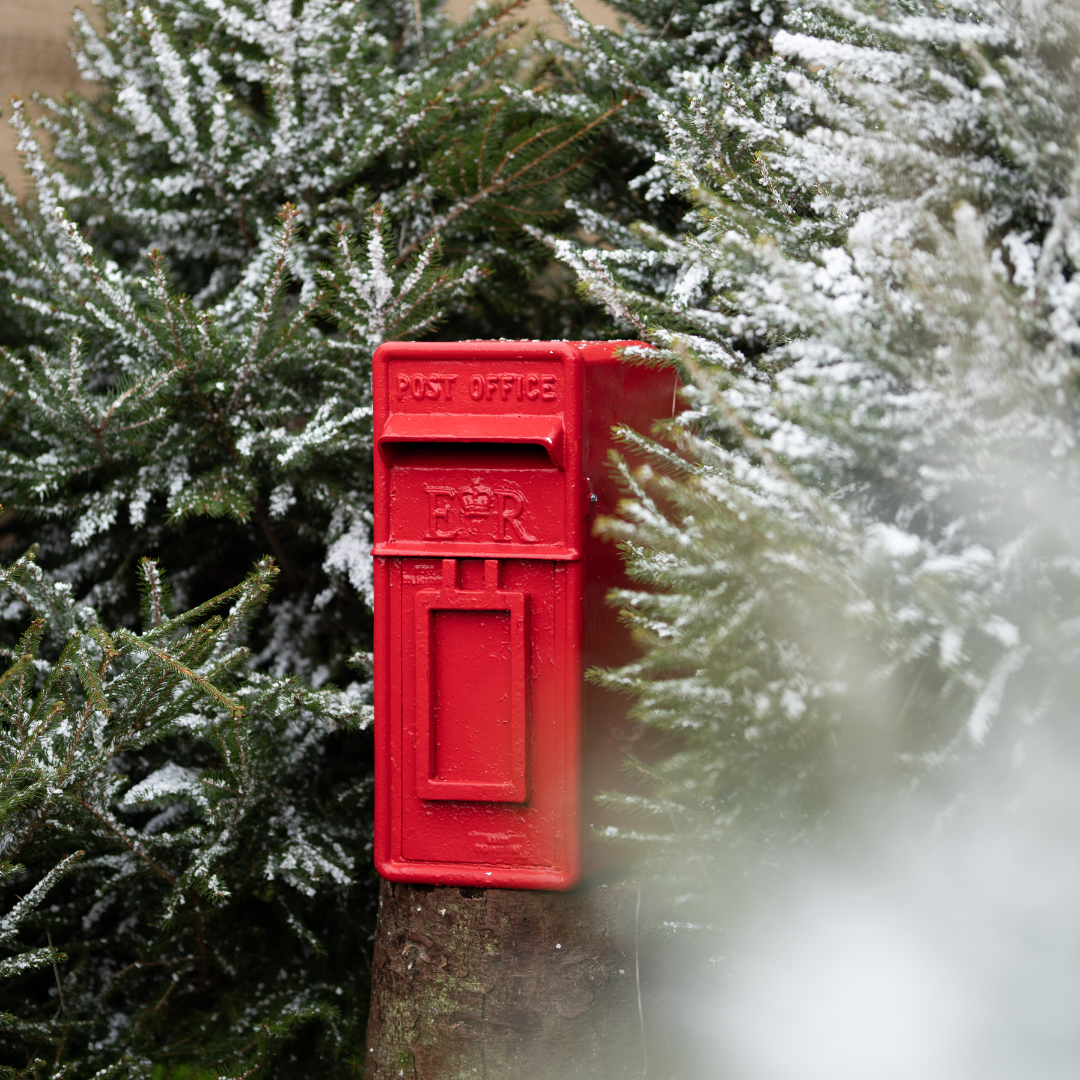 The Alpine Lunch Party Package