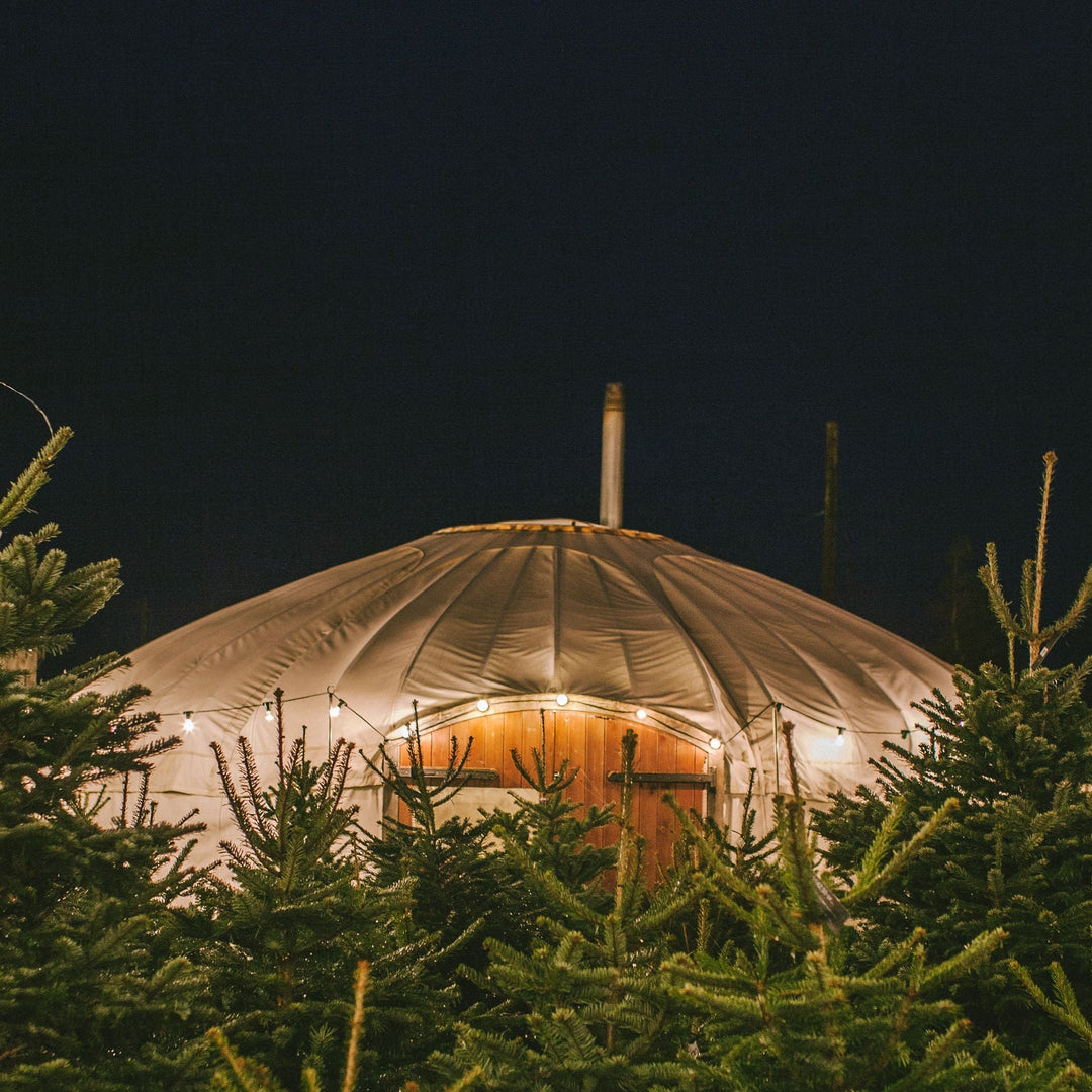 The Christmas Yurt Venue At Jolly Nice