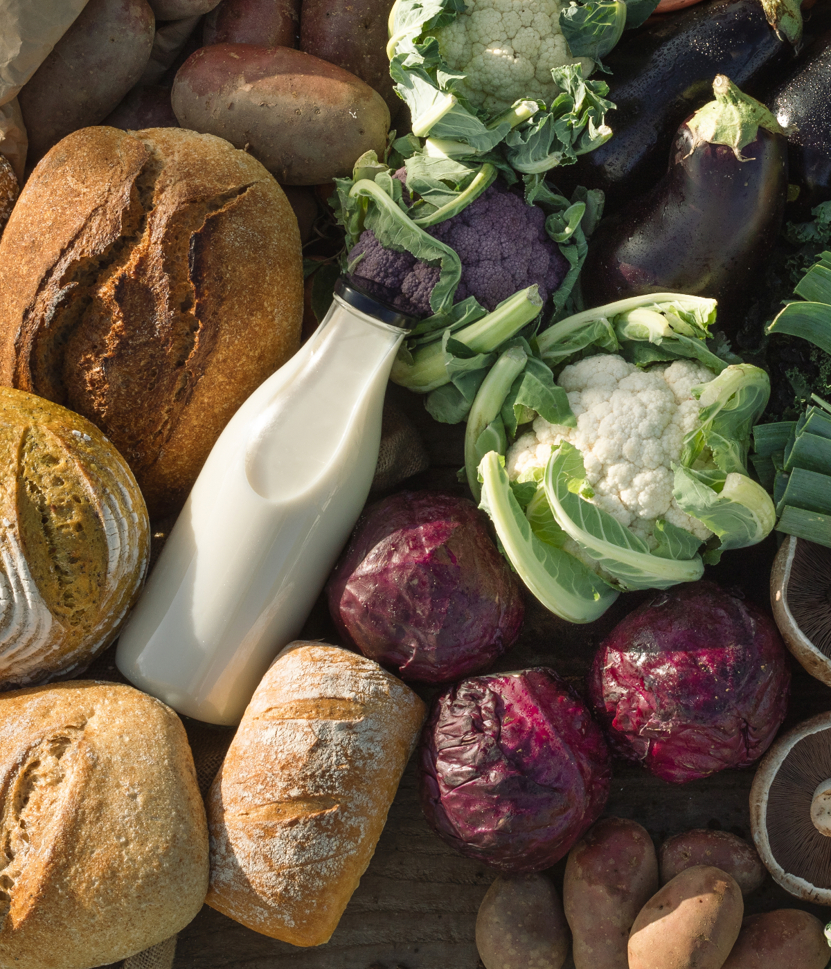 Visit The Jolly Nice Farmshop