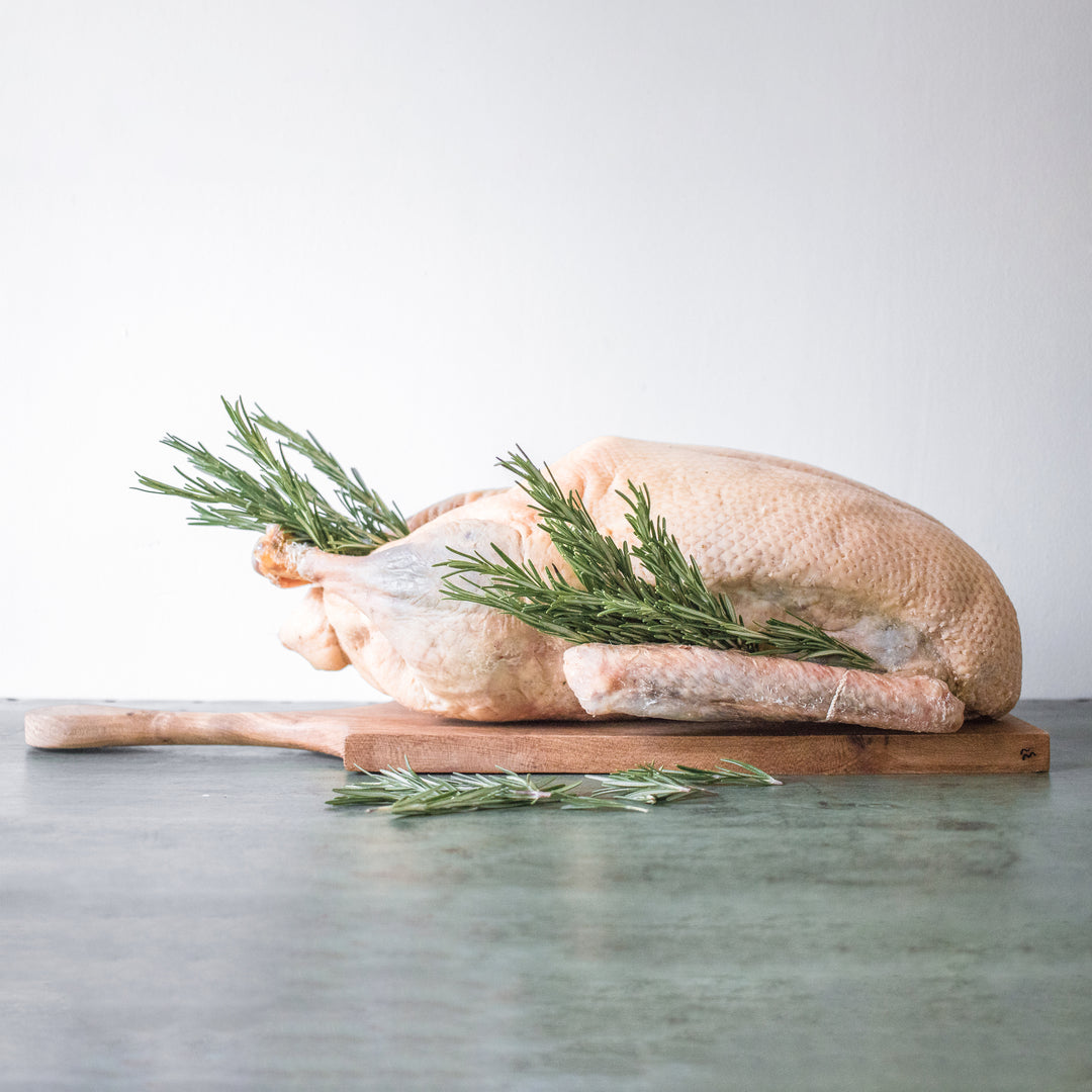 Local Free Range Goose - SOLD OUT