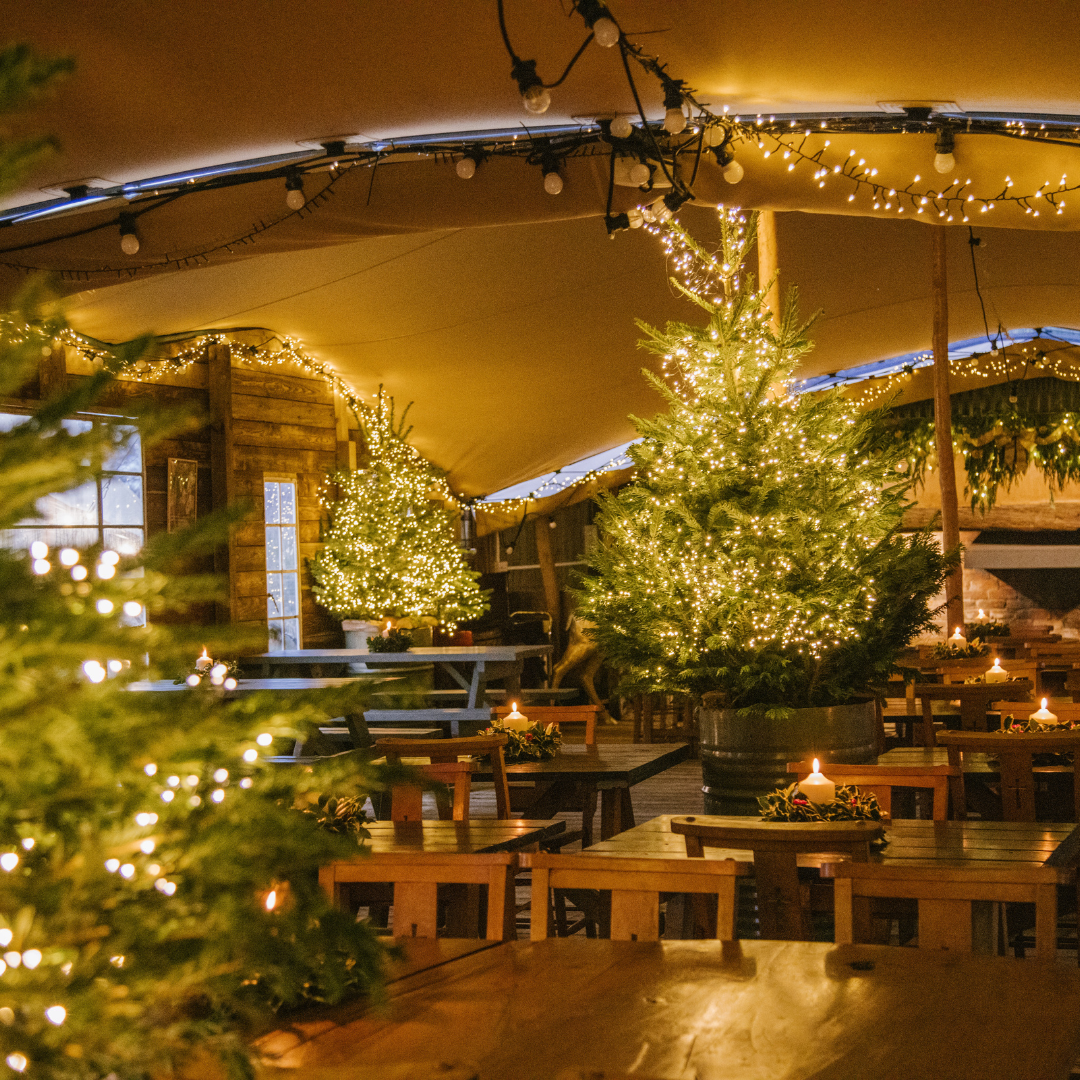 Christmas at Jolly Nice