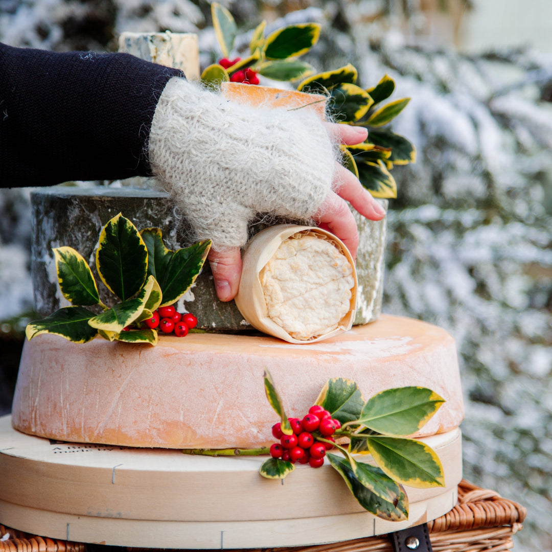 Jolly Nice Christmas Cheese