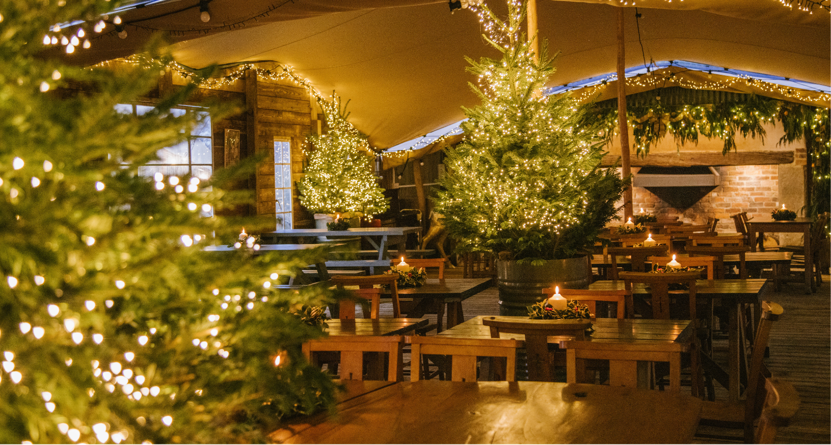 Indoor Cotswold Christmas scene at Jolly Nice with decorated trees and tables.