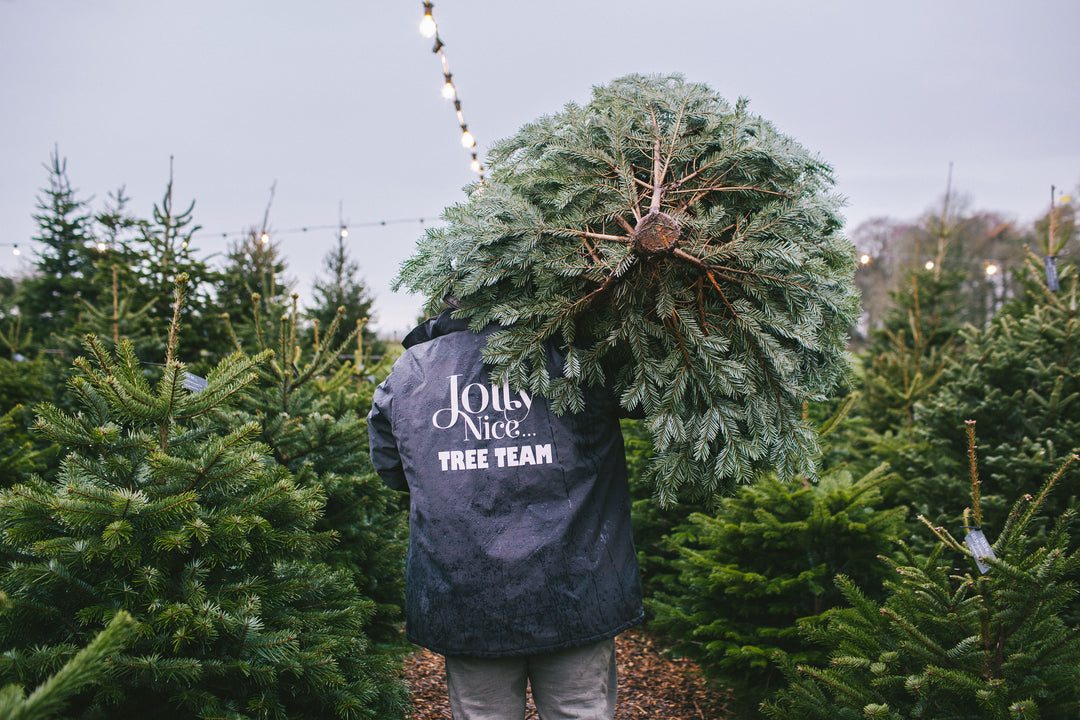 Jolly Nice Christmas Tree Team Carrying A Christmas Tree