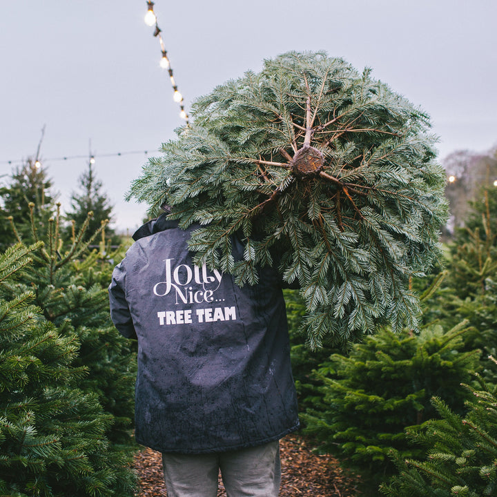 Jolly Nice Christmas Tree Team Carrying A Christmas Tree