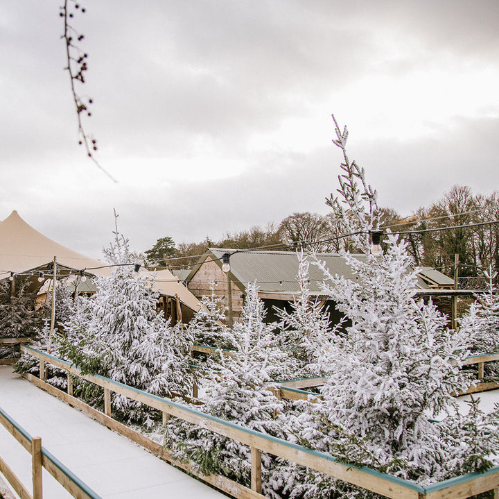 Festive Skating 2025