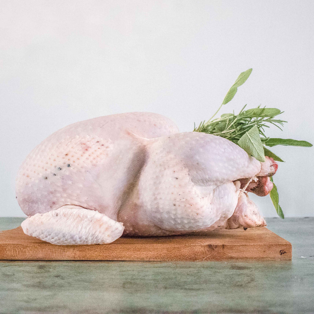 Local Free Range Turkey