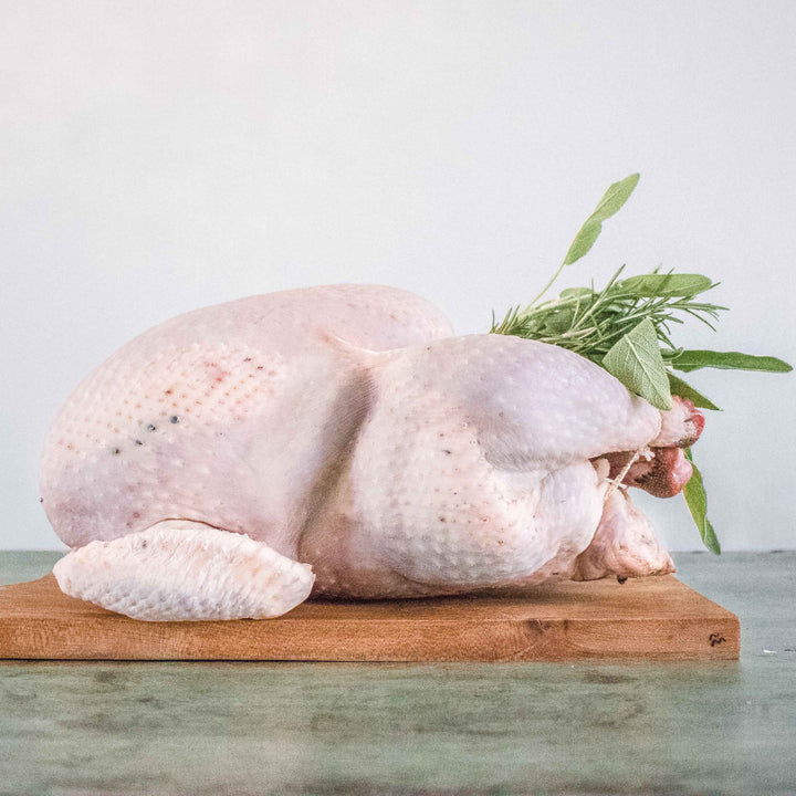 Local Free Range Turkey