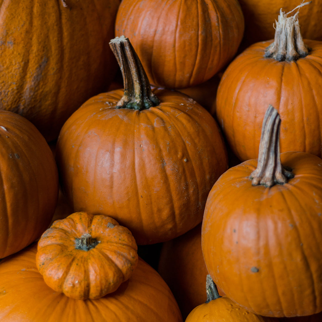 Jolly Nice Pumpkin Patch 2026