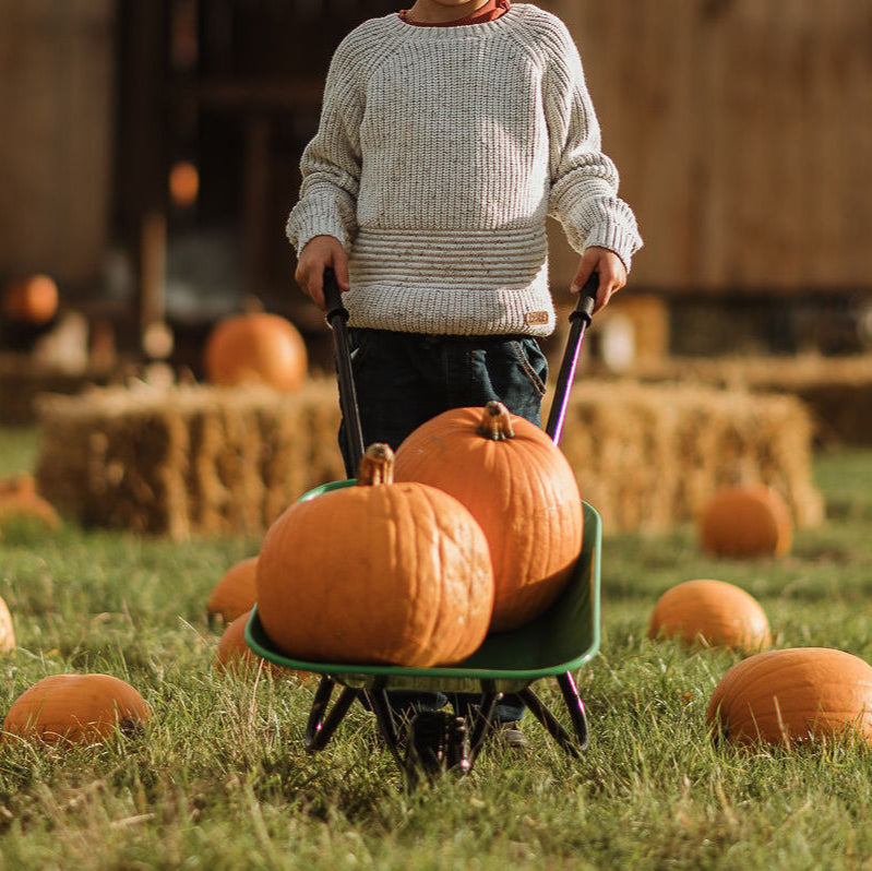 Pumpkin Patch at Jolly Nice