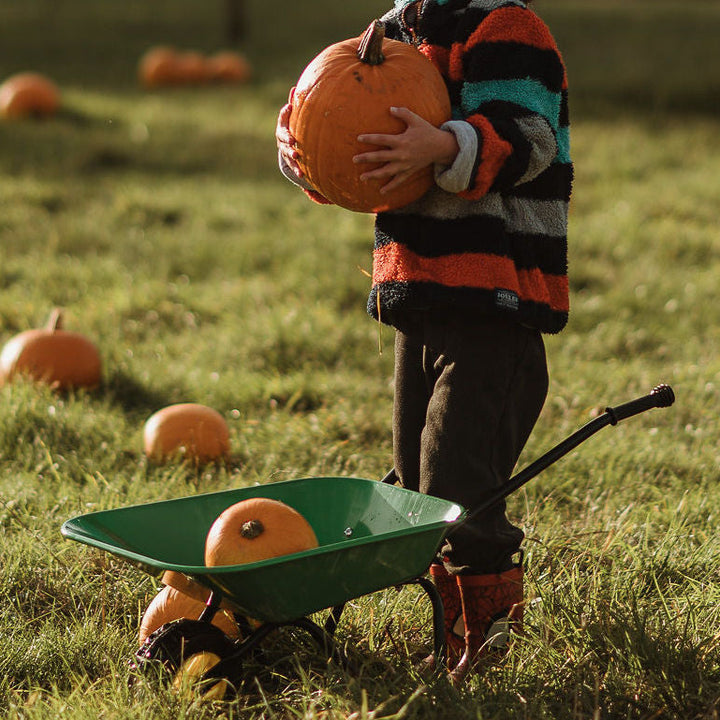 Harvest & Pumpkin Festival at Jolly Nice