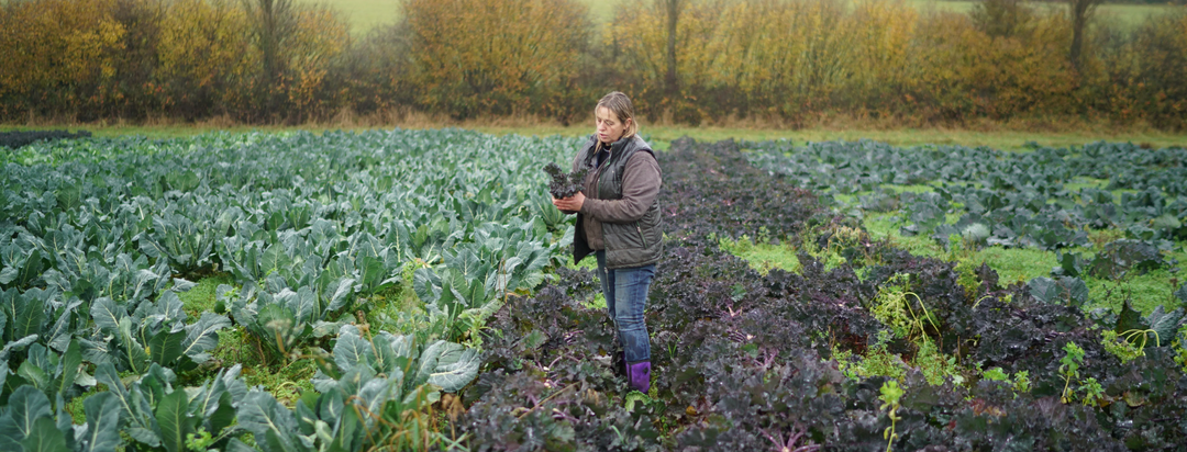 Rowie The Purton Farmer