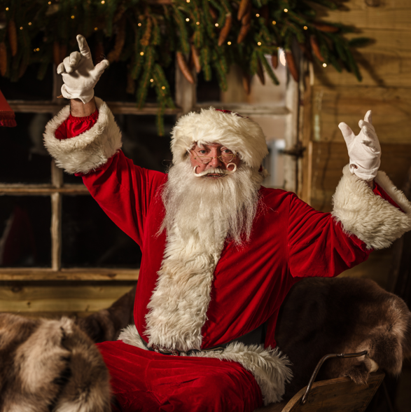 Stories with Father Christmas & Feed His Reindeer 2025